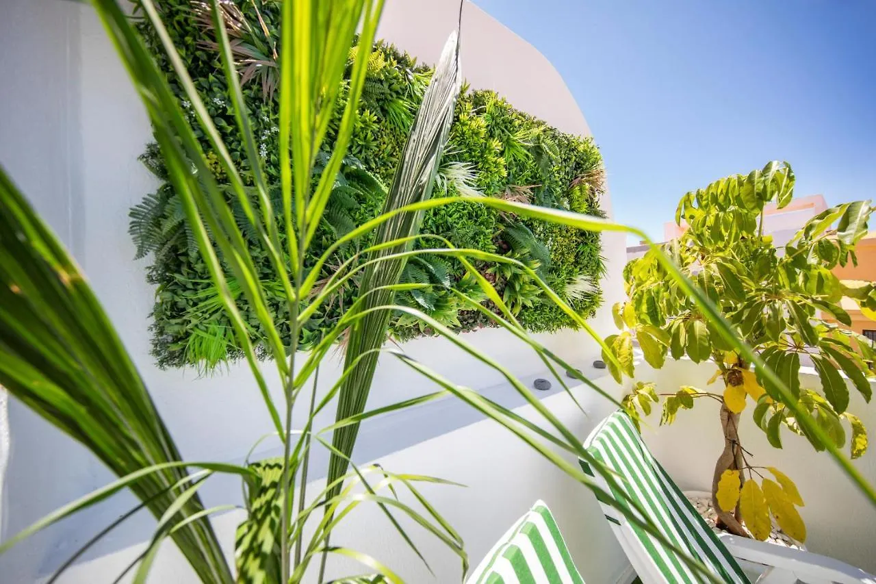 Апартаменты Medano4You The Jungle Terrace Эль-Медано